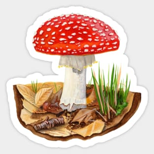 MUSHROOM ART SERIES: Fly Agaric (Amanita muscaria) Sticker